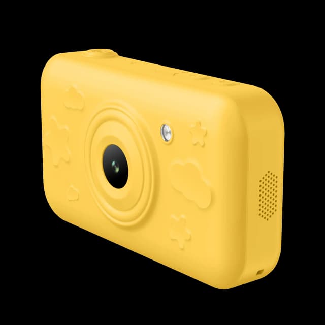 Camera back